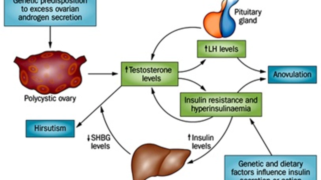 How progesterone can help with insulin resistance and diabetes